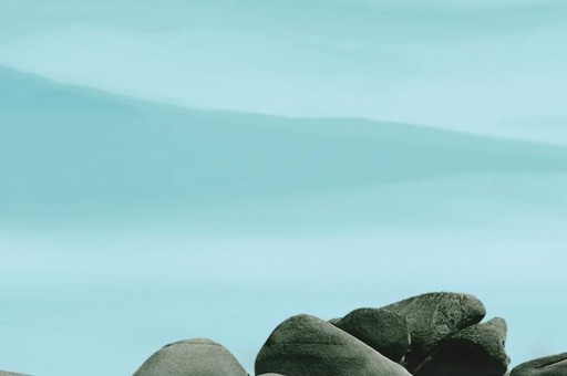 向日葵视频（向日葵视频在哪里可以观看）