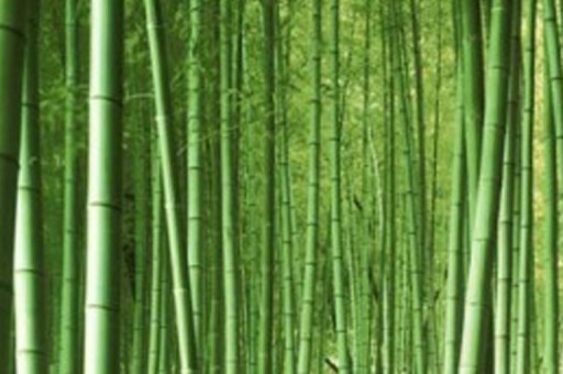 免费网站在线观看人数在哪软件（哪个软件可以查看免费网站在线观看人数）