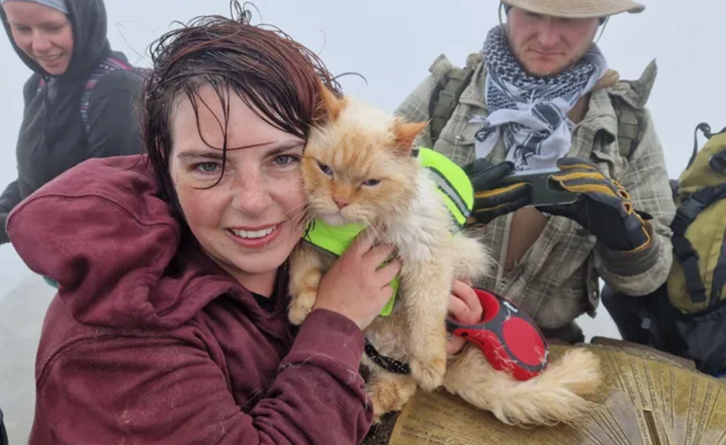 Pictured: Jess Peters with Louis at the summit of Mount Snowdon, Wales. A cat has become the first feline to conquer the Three Peaks. Louis the Persian made history as it became the first cat to climb the highest mountains in England, Scotland and Wales. Alongside his owners Jess Peters and Dan Taylor, the seven year old cat actually walked up Scafell Pike, Ben Nevis and Snowdon and wasn't carried. Miss Peters, 31, and Mr Taylor, 34, walked with Louis while he was on a lead and made it to the summit each time. The couple, from Sherfield English, Hants, said their pet was 'better prepared than we were' as they revealed Louis walks a staggering six miles a day. SEE OUR COPY FOR DETAILS. ? Solent News & Photo Agency UK +44 (0) 2380 458800